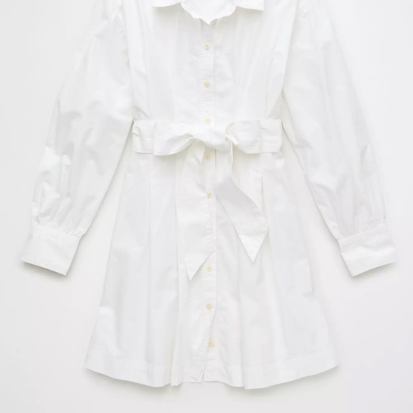 AE Long-Sleeve Pleated Mini Shirt Dress - Picture 3 of 7